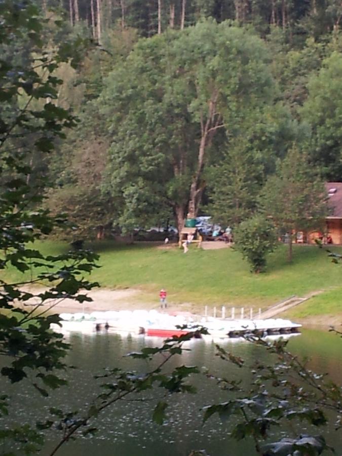 Chalet Hertzland Ranspach Zimmer foto